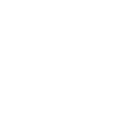 Mobile icon