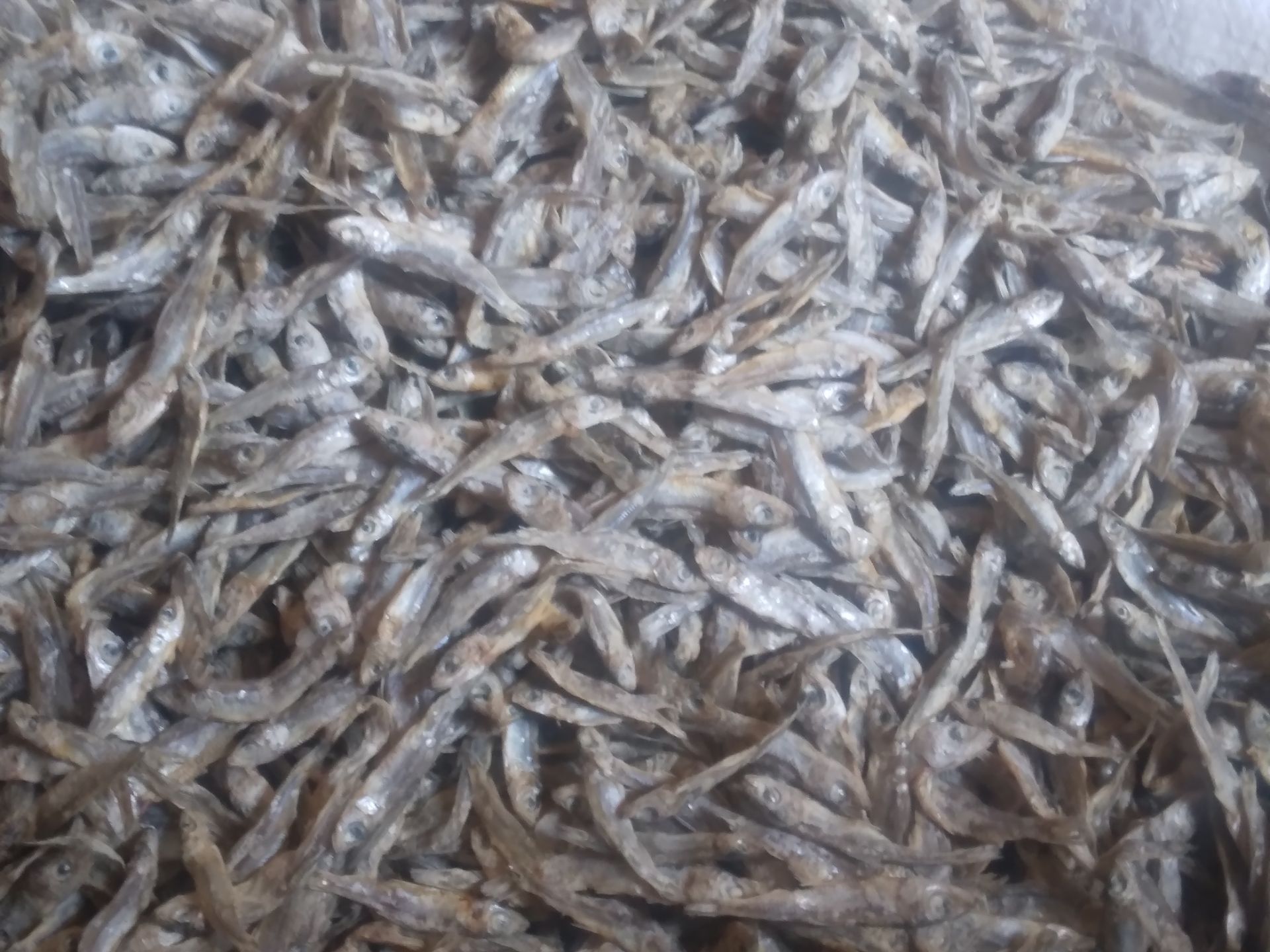 Dried Matemba