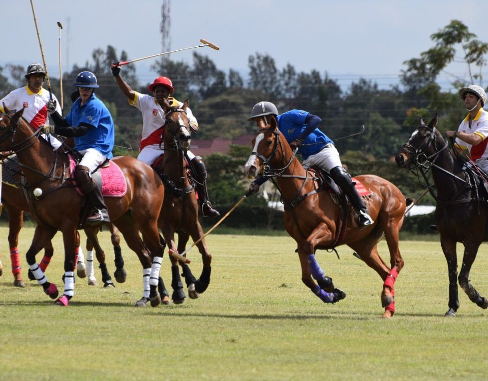 Straight From The Horse’s Mouth: An Action-packed Polo Weekend Coming Up