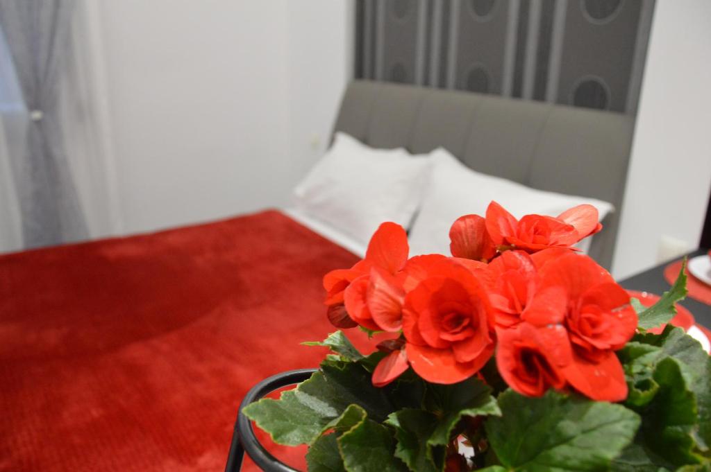 S. Luxury Princess Suite 9