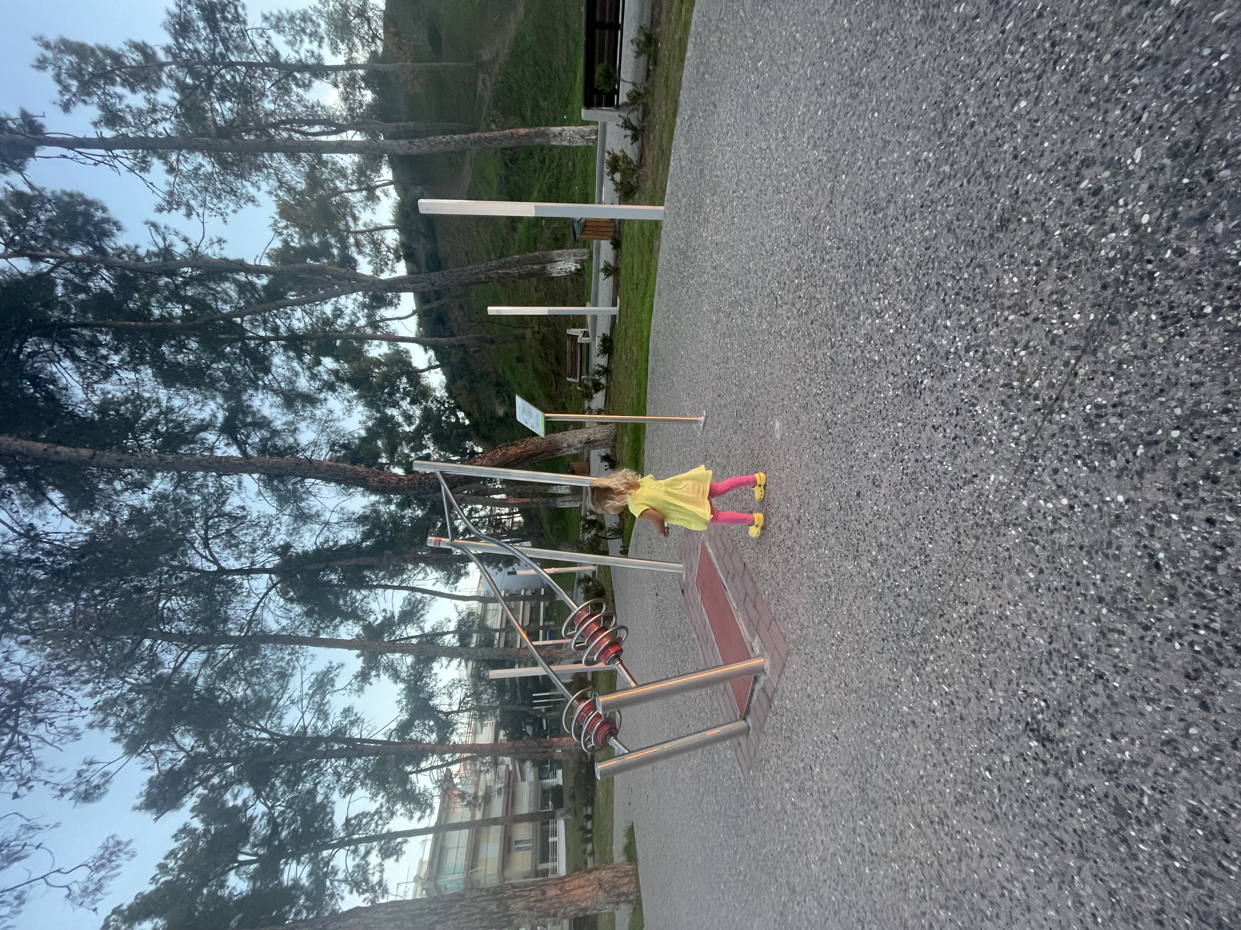 Fitness Playground 1