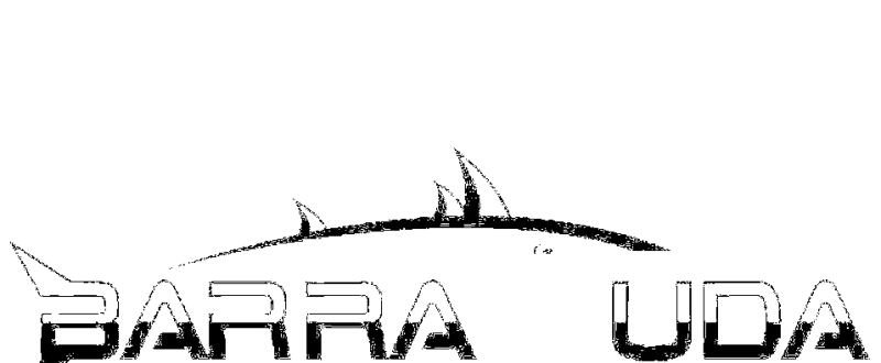 Barracuda logo