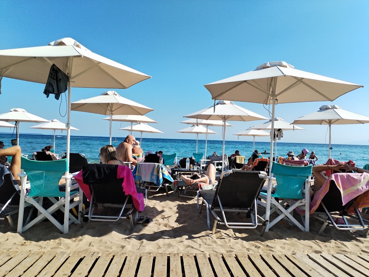 Barracuda All Day Beach Bar 3