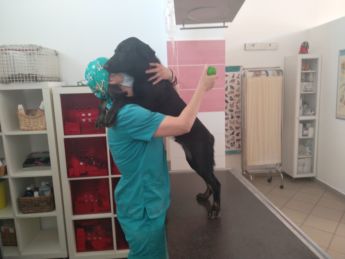 Veterinary Clinic in Nea Kallikratia 4