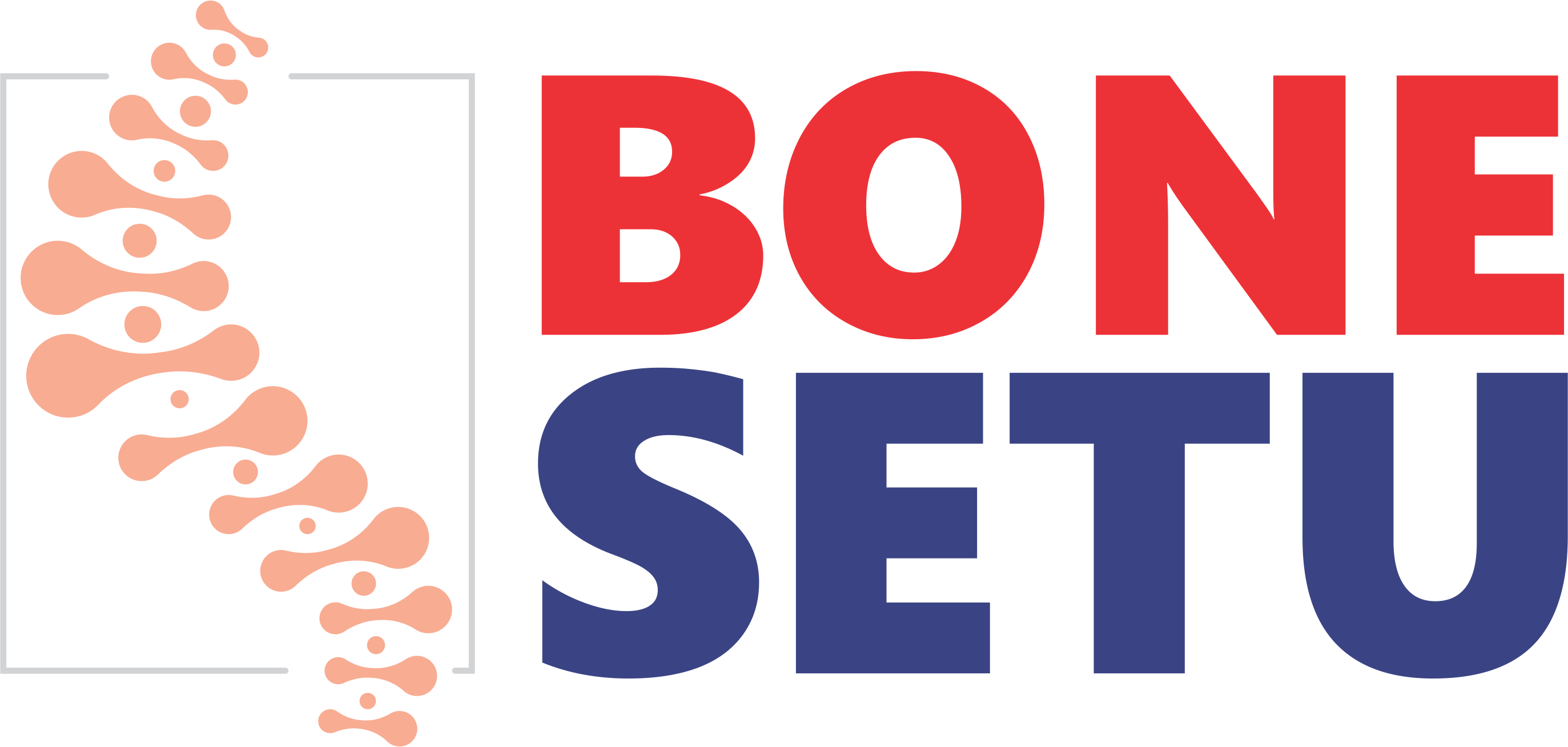 BoneSetu Logo