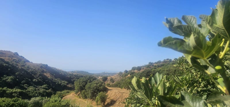 Villa til salgs i Estepona