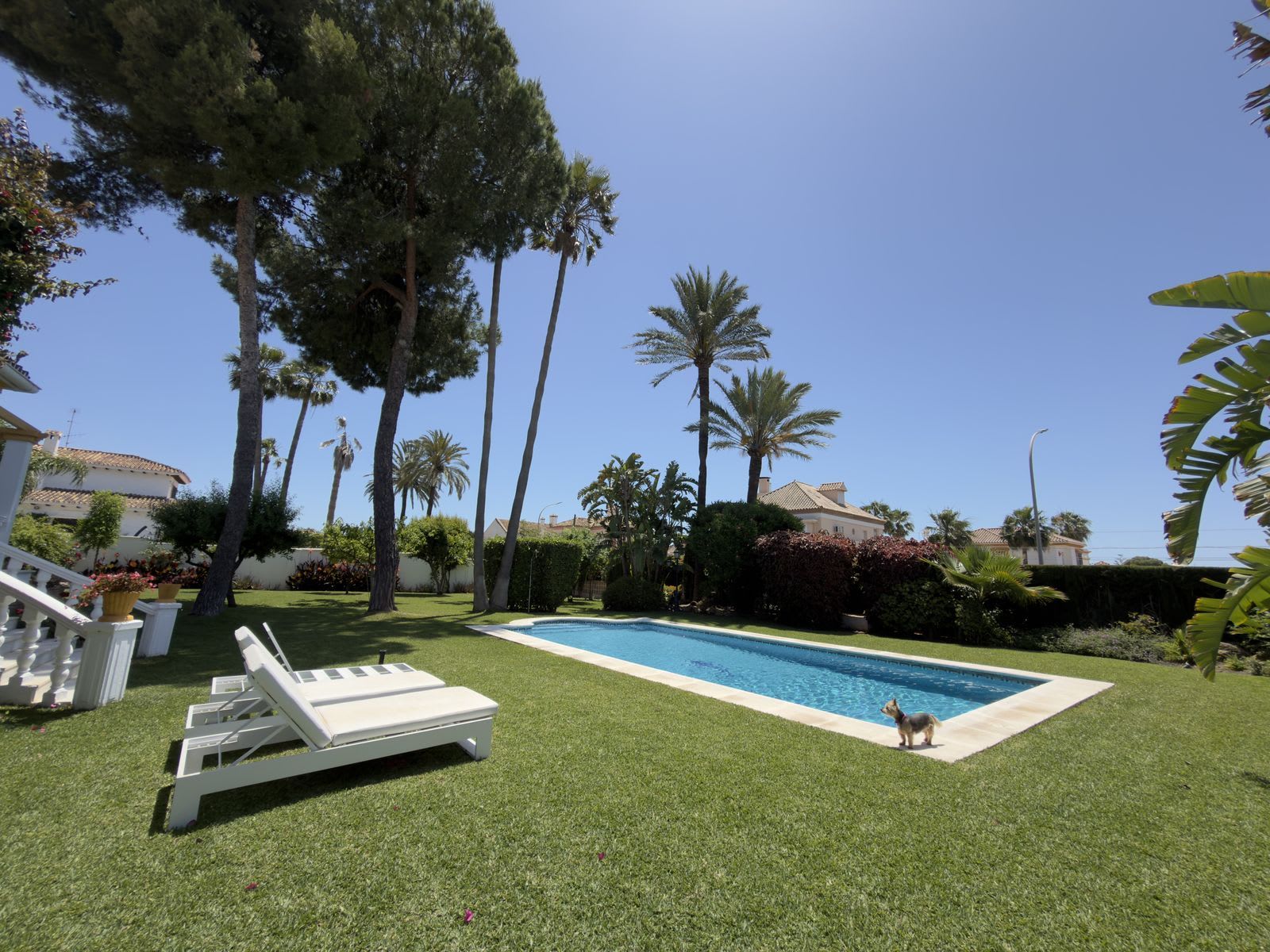 Frittliggende villa til salgs i San Pedro de Alcántara, Bilde 3