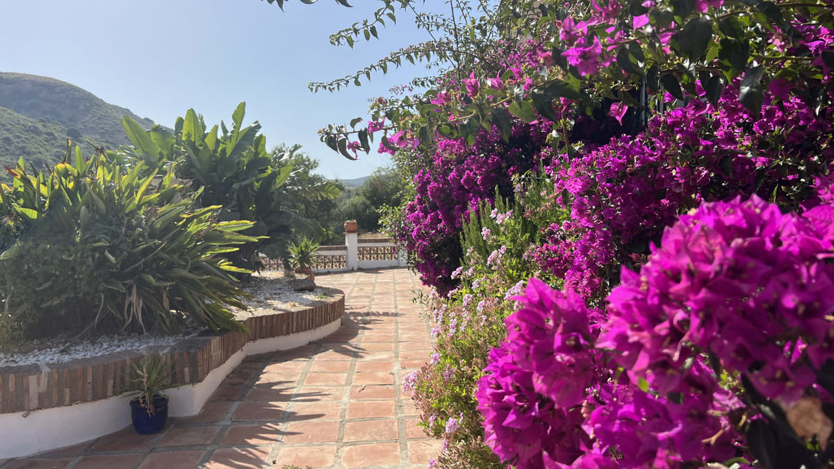 Finca til salgs i La Duquesa, Bilde 3