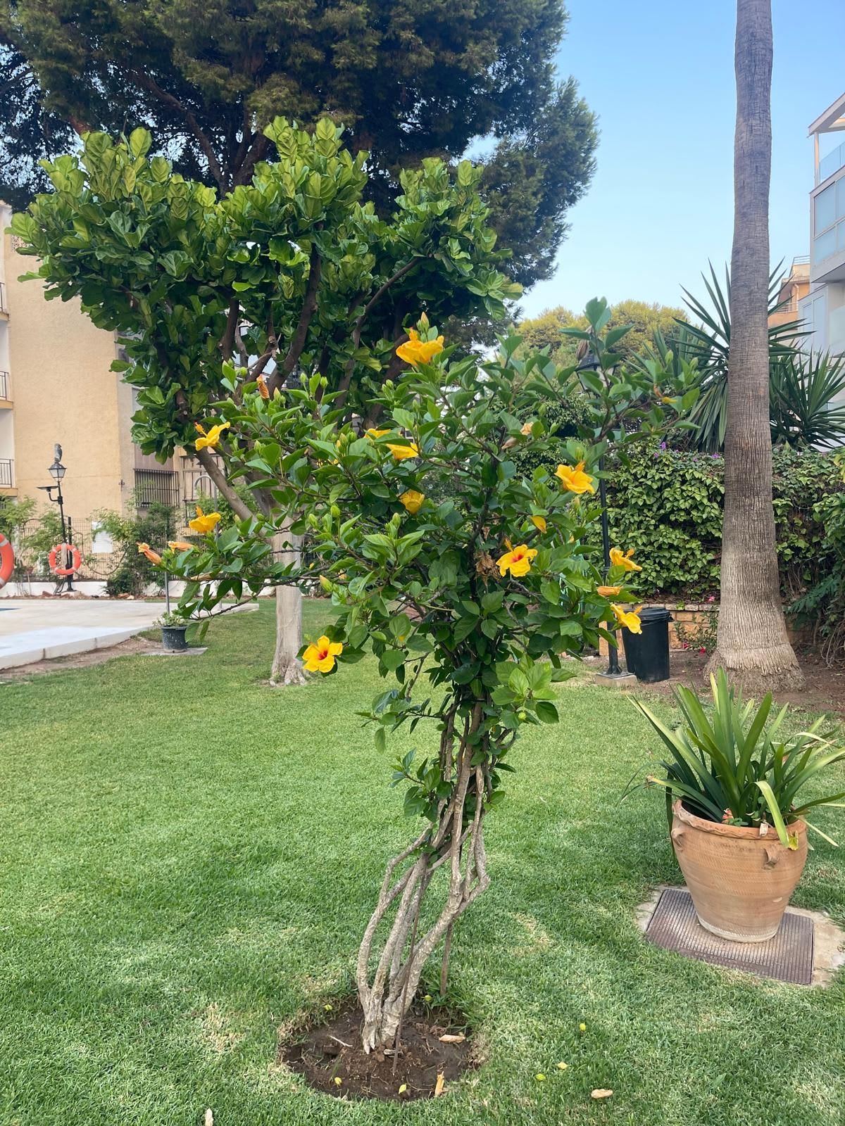 Leilighet til salgs i Benalmadena Costa, Bilde 2