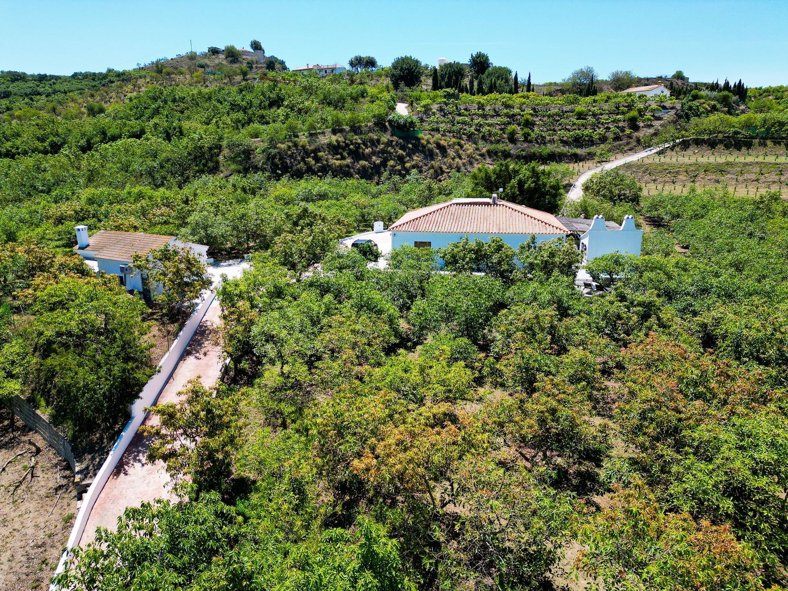 Finca til salgs i Vélez-Málaga, Bilde 2