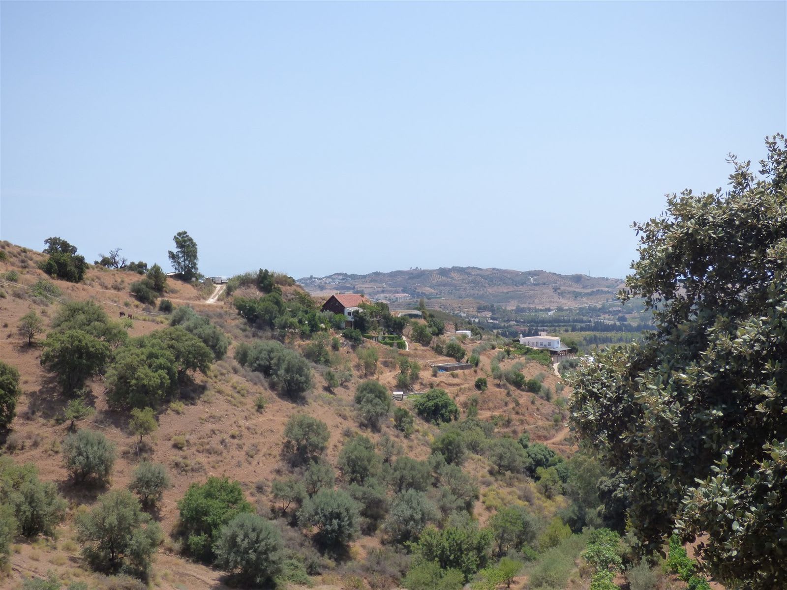 Finca til salgs i Mijas Costa, Bilde 2
