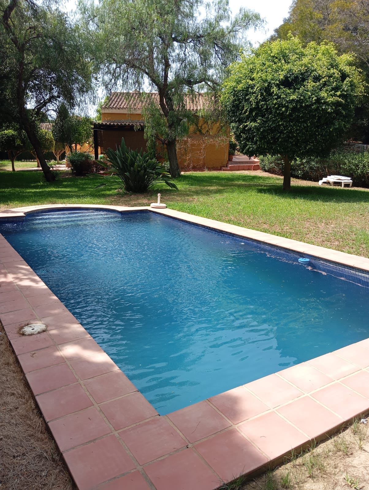 Frittliggende villa til salgs i El Rosario, Bilde 2