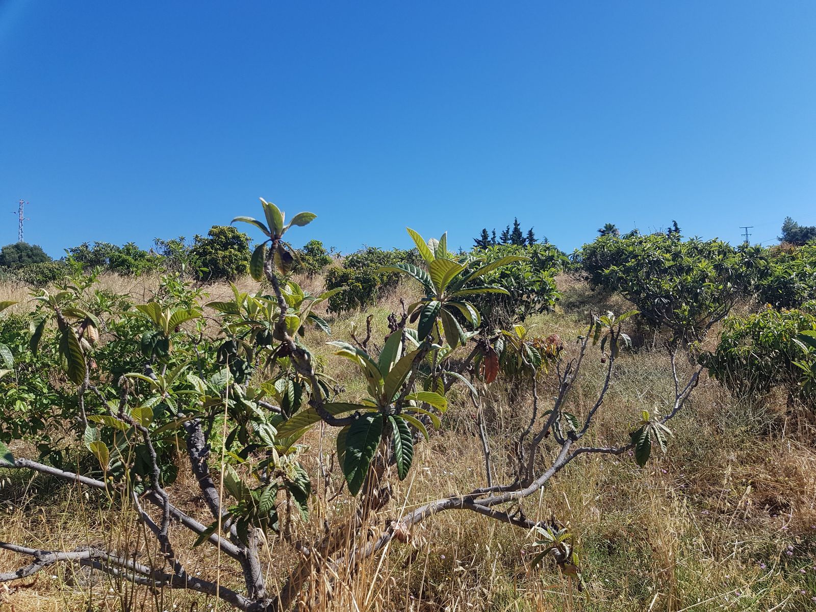 Villa til salgs i Estepona, Bilde 2