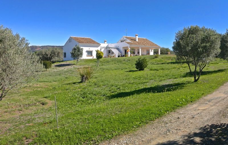 Frittliggende villa til salgs i Elviria, Bilde 2