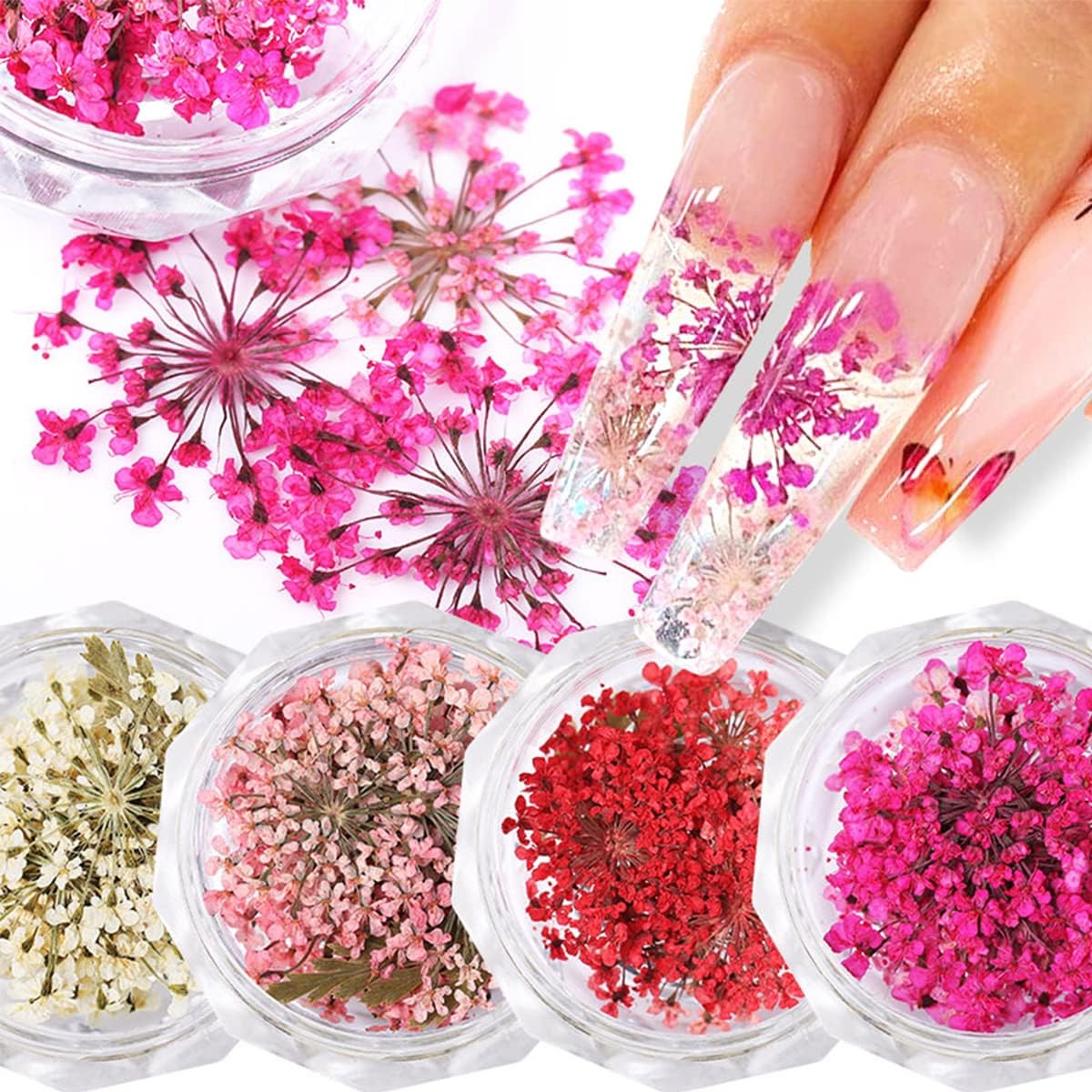 Bocaux Fleurs Sechees