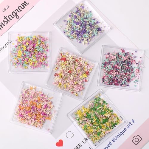 Vue 3 de Box Fleurs Sechees Fleurs