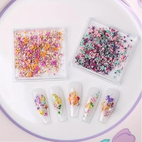 Vue 4 de Box Fleurs Sechees Fleurs