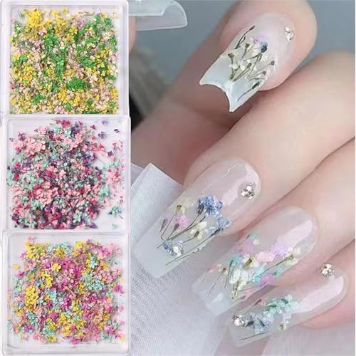 Vue 5 de Box Fleurs Sechees Fleurs