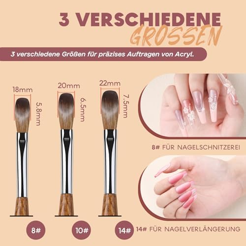 Vue 5 de Aokitec Kolinsky Brosse