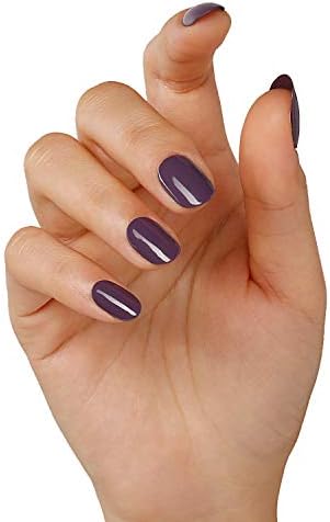 Vue 3 de Base De Vernis