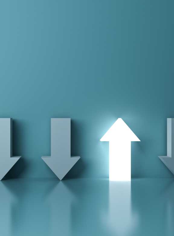 Scale-up visa