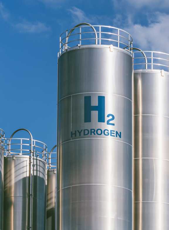 Advising the operator of a biomass plant