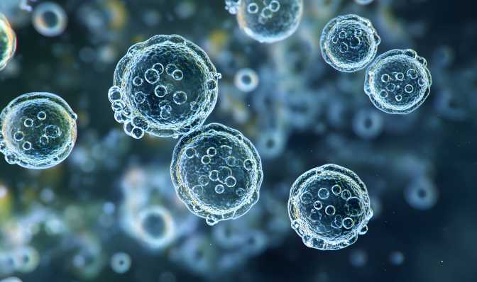 Actions for businesses to consider