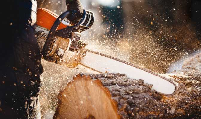 Statutory exemptions for felling licences