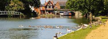 Inner Hero banner Image