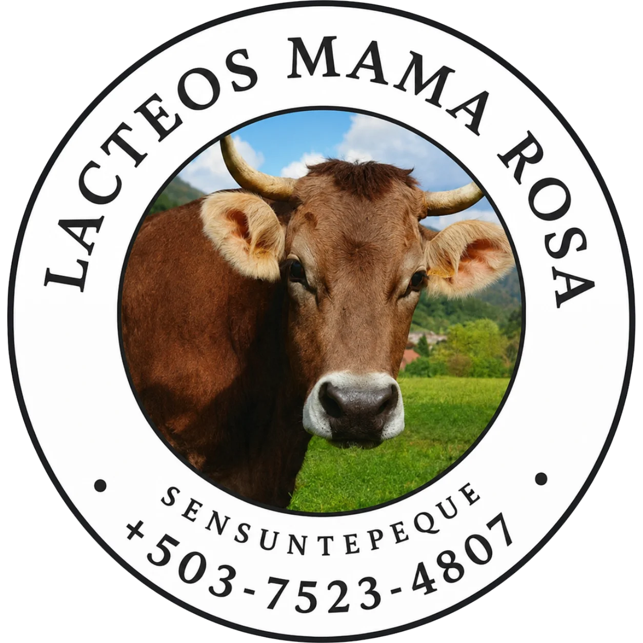 Lacteos Mama Rosa