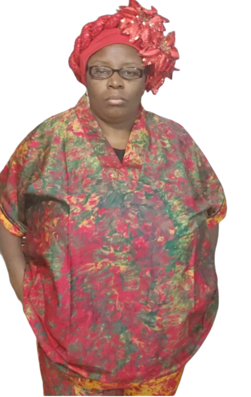 2 pieces set of Silk Kampala (top and pants)