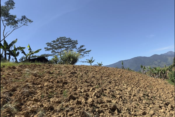 Agricultural Lot for Sale in Lantapan Bukidnon | 6000 sqm Farm with House