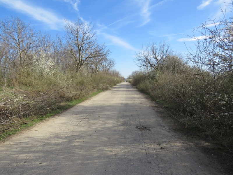 Реконструкция на Общински Път Обнова – Каменец - Снимка 15