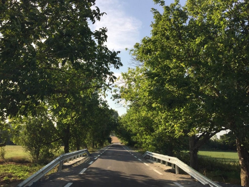 Рехабилитация и реконструкция на общински път - Снимка 2