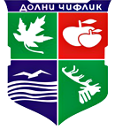 Община Долни чифлик