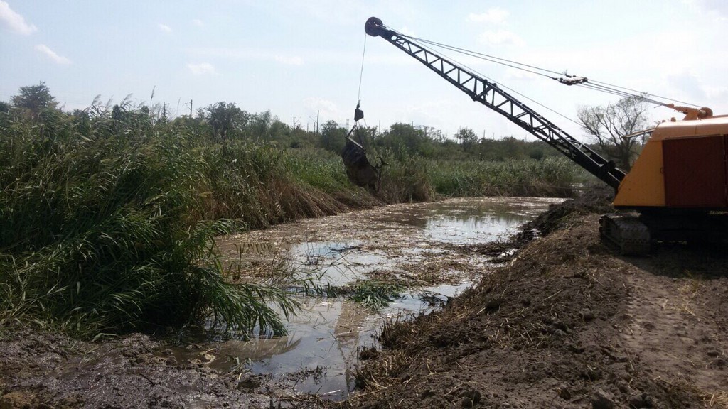 Почистване на преливно езеро в „ТЕЦ МИ 2“ ЕАД - Снимка 5