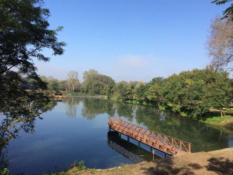 Изграждане на воден басейн