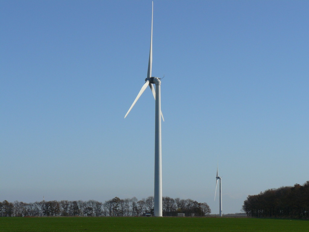 Ветропарк "Могилище" - Снимка 2