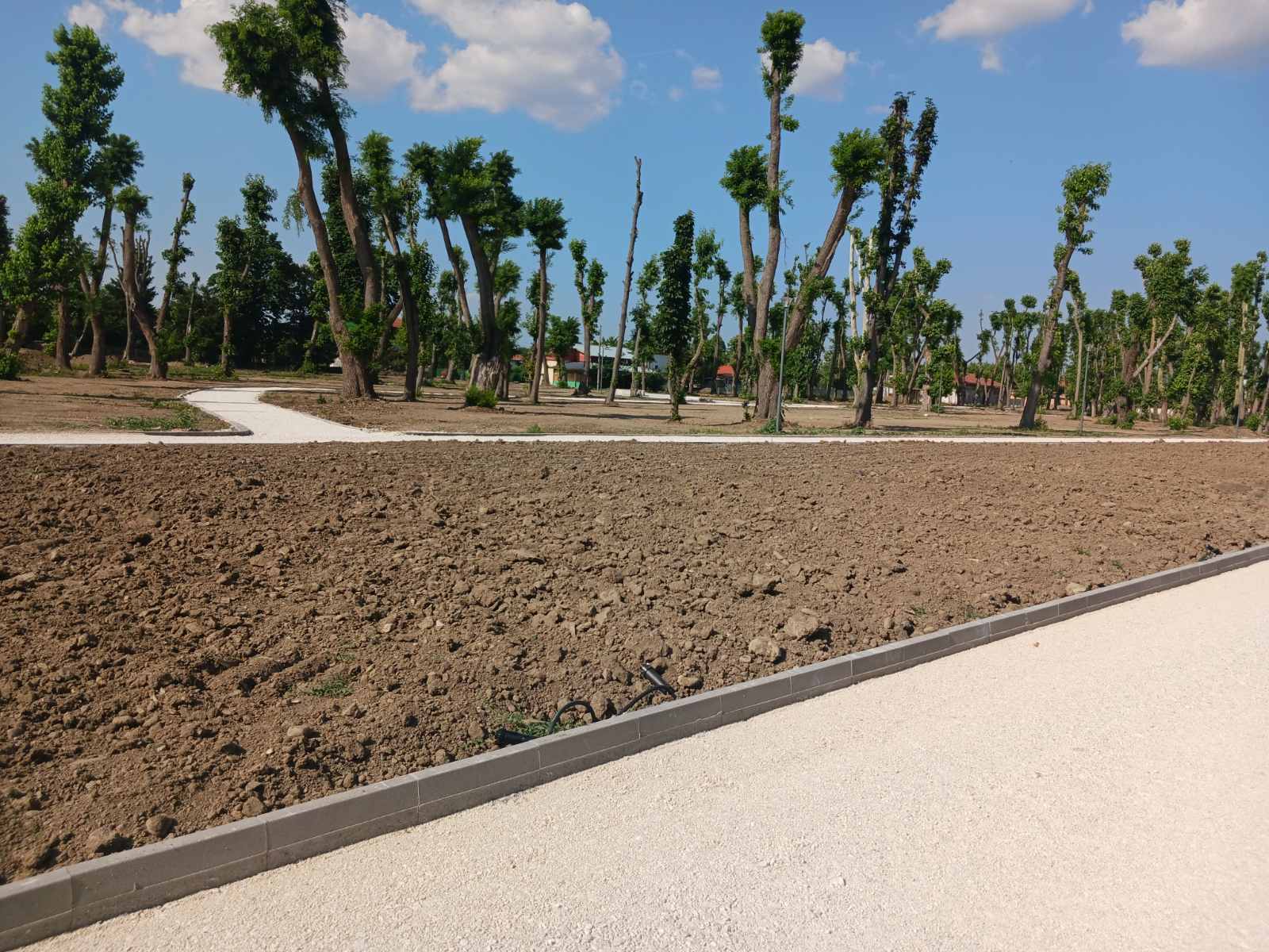 Реконструкция и благоустрояване на градски парк  - Снимка 15