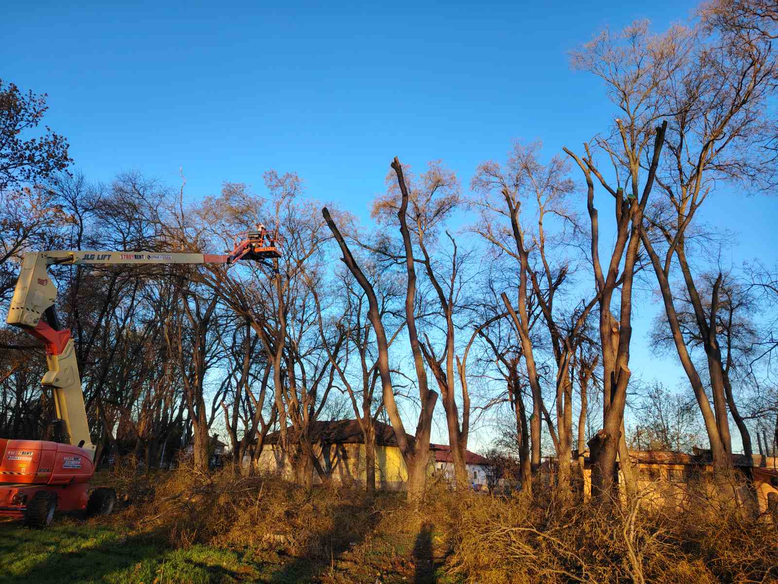 Реконструкция и благоустрояване на градски парк  - Снимка 24