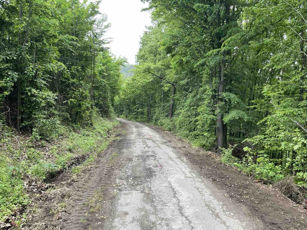 Реконструкция на общински път GAB 3118 - Снимка 16