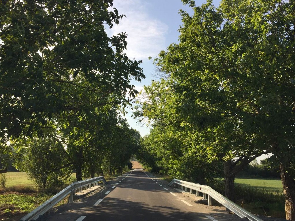 Рехабилитация и реконструкция на общински път - Снимка 2