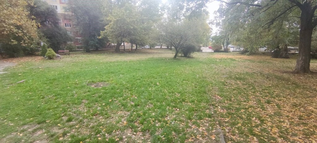 Обновяване на парк Пещерата - Снимка 13