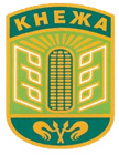 Община Кнежа