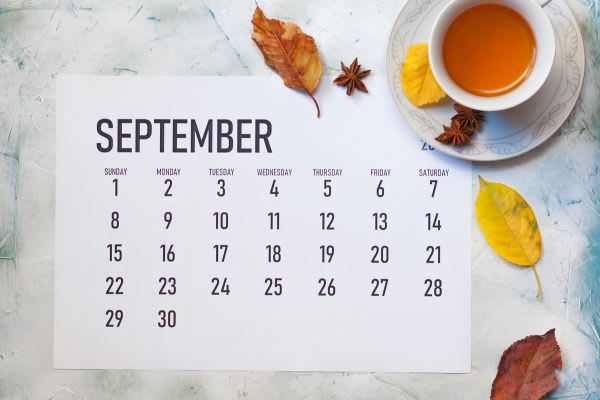 9月のカレンダーと秋の大掃除を思わせる落ち葉や紅茶の写真が映る風景。