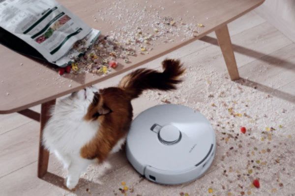 猫とロボット掃除機が散らかった床の上にいます。テレワーク中に集中できない瞬間を表しています。