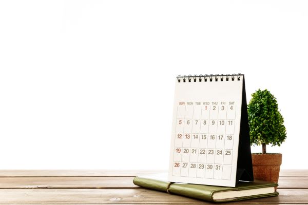 カレンダーと植物が置かれたテーブル。amazon 秋 セールの準備をするのにぴったりなシーン。