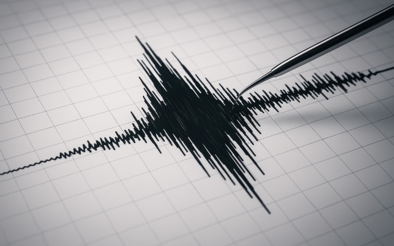 A close-up of a soundwave printout, visualizing scanner sound frequencies on graph paper.