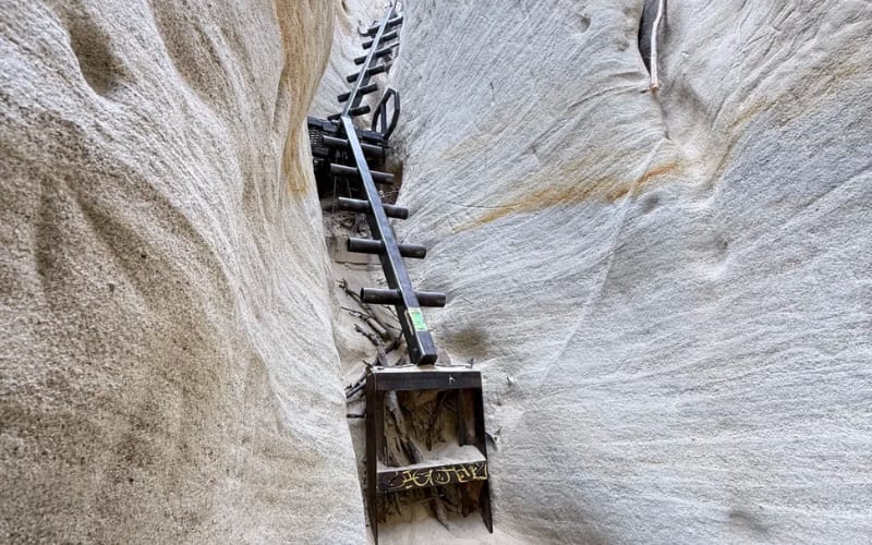 A steep wooden ladder leads through a narrow sandstone canyon, highlighting one of the best hikes in San Diego.