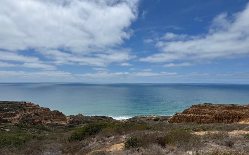 Stunning coastal view showcasing one of the best hikes in San Diego, surrounded by lush greenery and ocean.